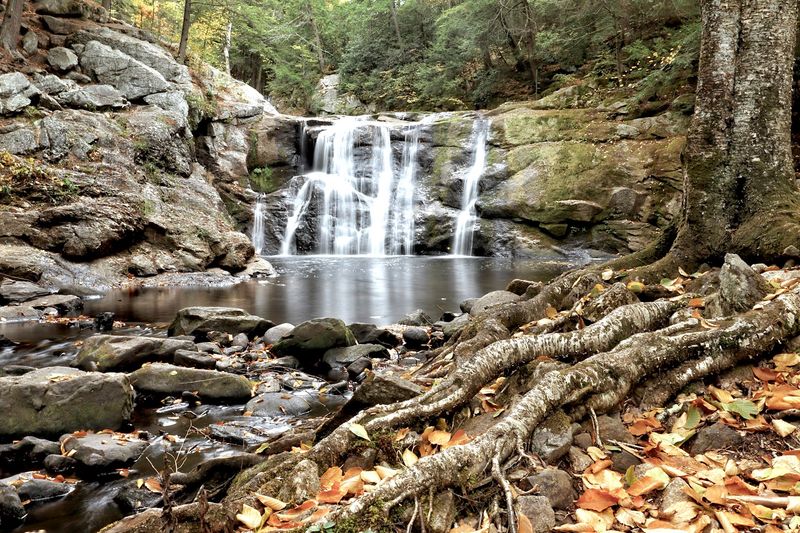 The Foliage Factor That Draws Fall Hikers The Foliage Factor That Draws Fall Hikers