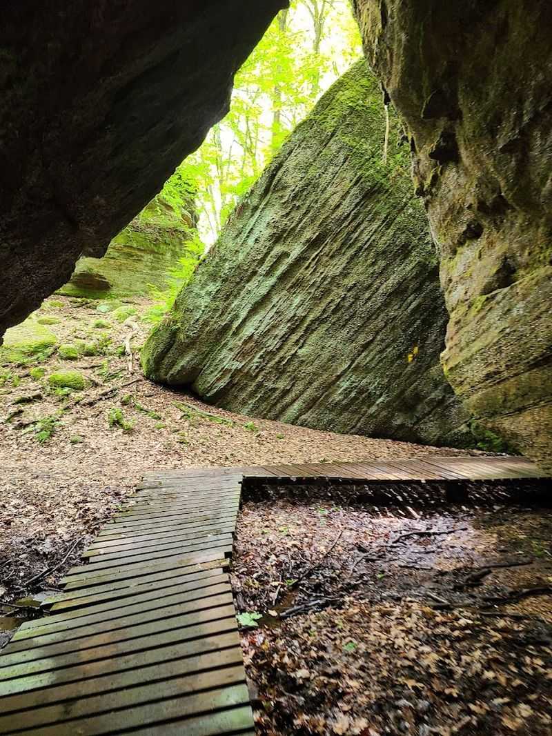 The Four Color-Coded Trails and What to Expect on Each The Four Color-Coded Trails and What to Expect on Each