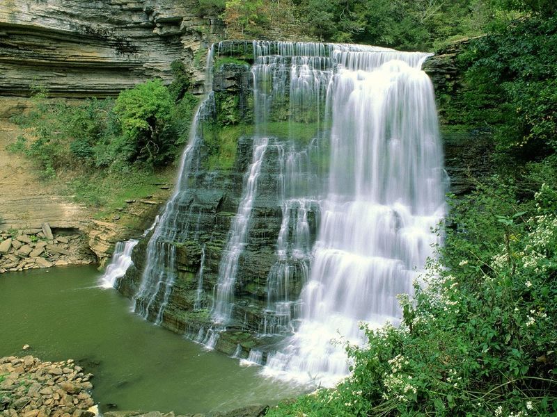 The Full Picture: What Makes This Park Stand Out in Tennessee