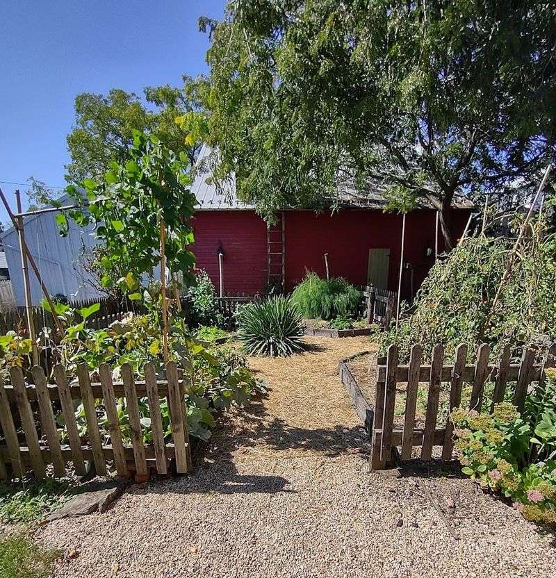 The Garden and the Details You Almost Miss The Garden and the Details You Almost Miss
