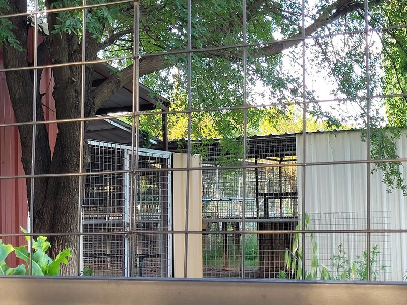 The Garold Wayne Interactive Zoological Park (GW Zoo) — Wynnewood, Oklahoma