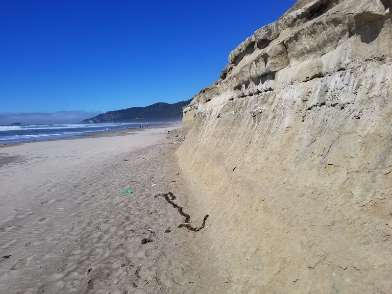 The Geology That Shaped This Coastline