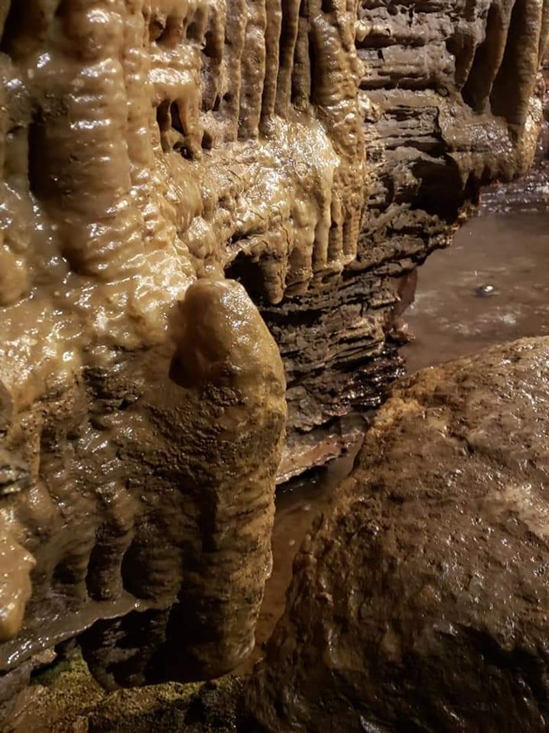The Geology Underneath: What the Limestone Tells You The Geology Underneath: What the Limestone Tells You