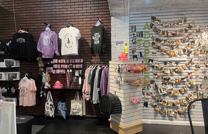 The Gift Shop and Cat-Themed Merchandise