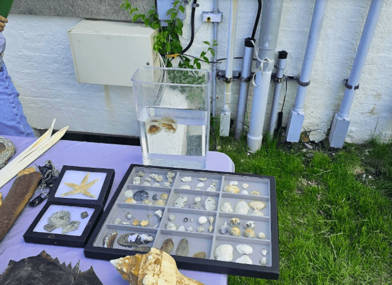 The Gift Shop and What You Can Take Home