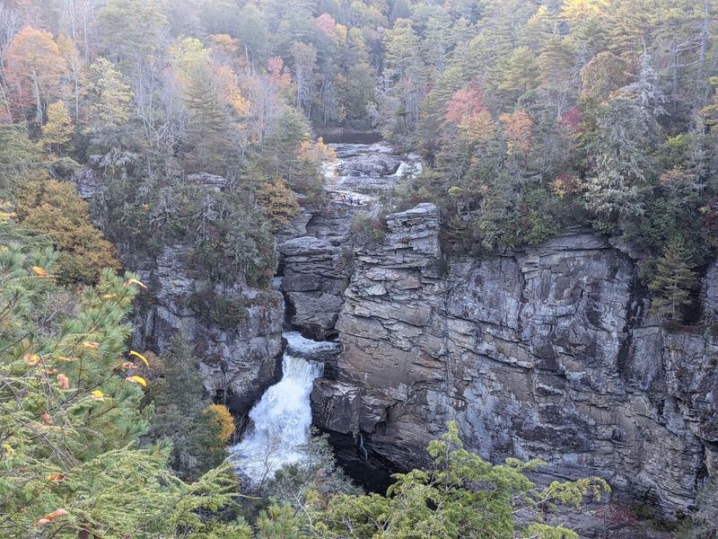 The Gorge Below: A Wilderness Like No Other The Gorge Below: A Wilderness Like No Other