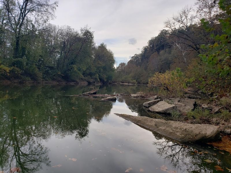 The Gossett Tract and Hidden Lake Trails Worth Exploring