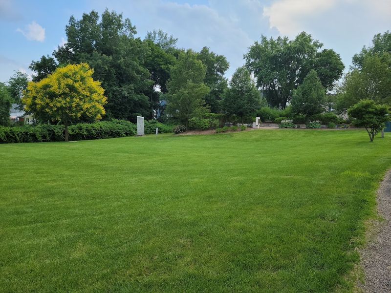 The Green and Floral Surroundings That Frame Everything