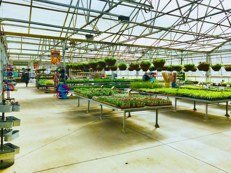 The Greenhouse Growing Operation Behind the Scenes