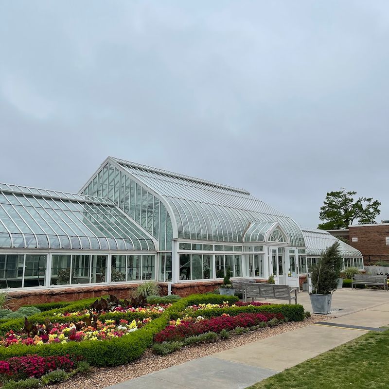 The Greenhouse and Its Surprisingly Impressive Cactus Collection The Greenhouse and Its Surprisingly Impressive Cactus Collection