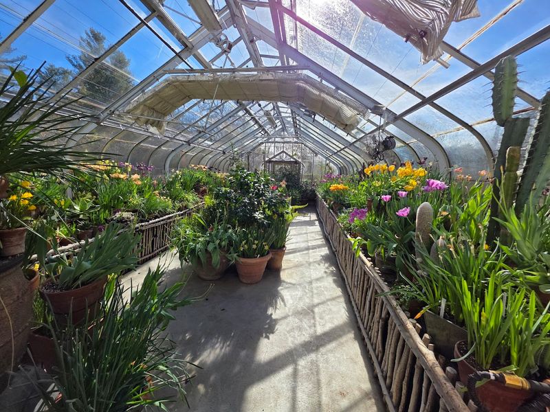 The Greenhouses: Year-Round Growing in Glass