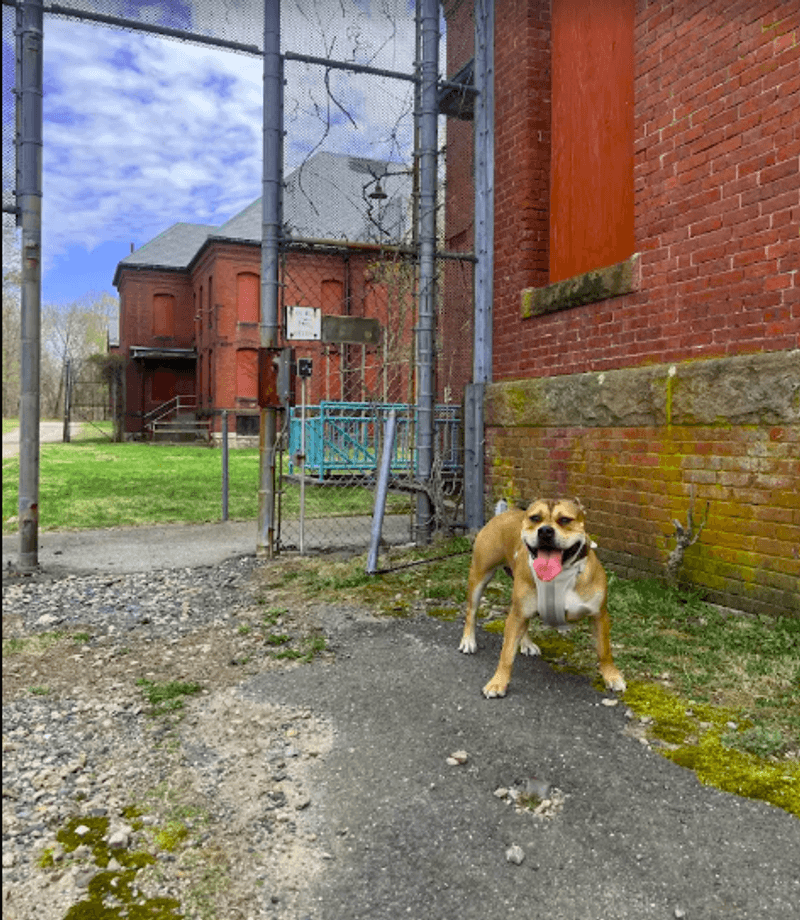 The Grounds as a Community Gathering Place