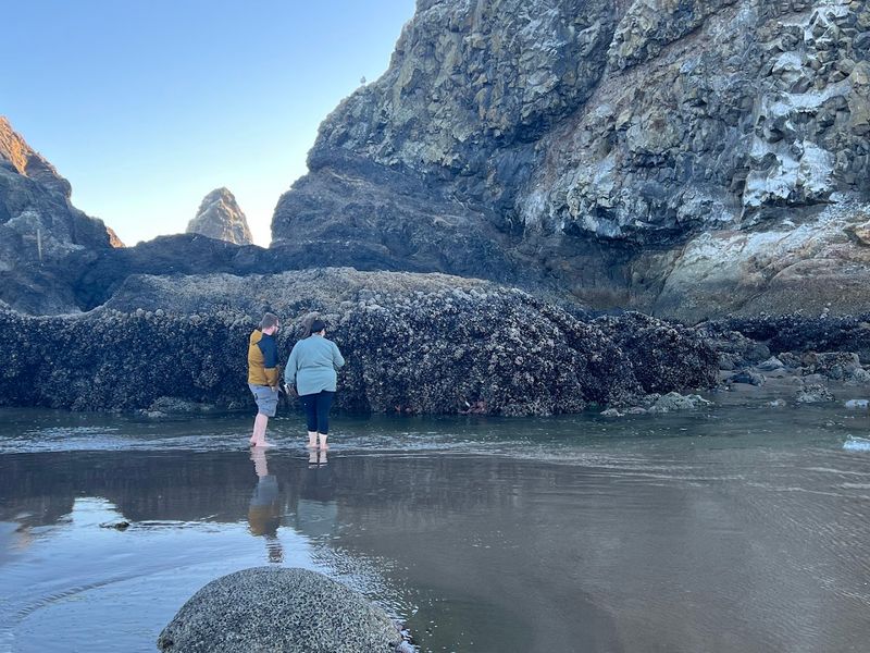 The Haystack Rock Awareness Program: Rangers of the Shoreline