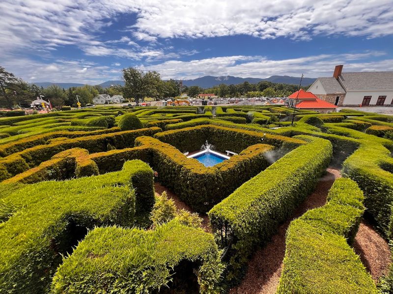 The Hedge Maze and Outdoor Activities Worth Your Time The Hedge Maze and Outdoor Activities Worth Your Time