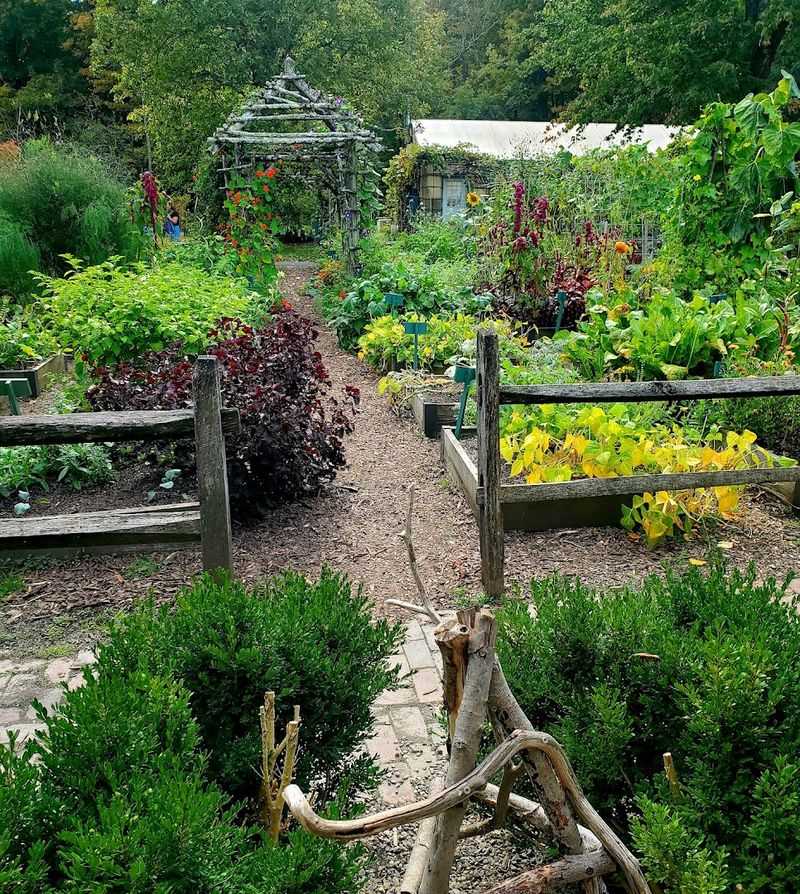 The Herb Garden: Practical Plants With Deep Roots
