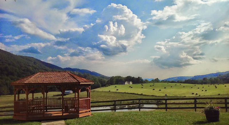 The Highland Cows That Surprise Every First-Time Visitor