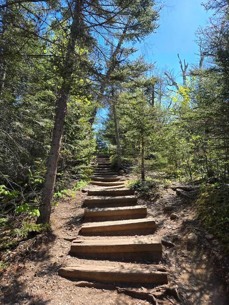 The Hike In: What to Expect on the Trail