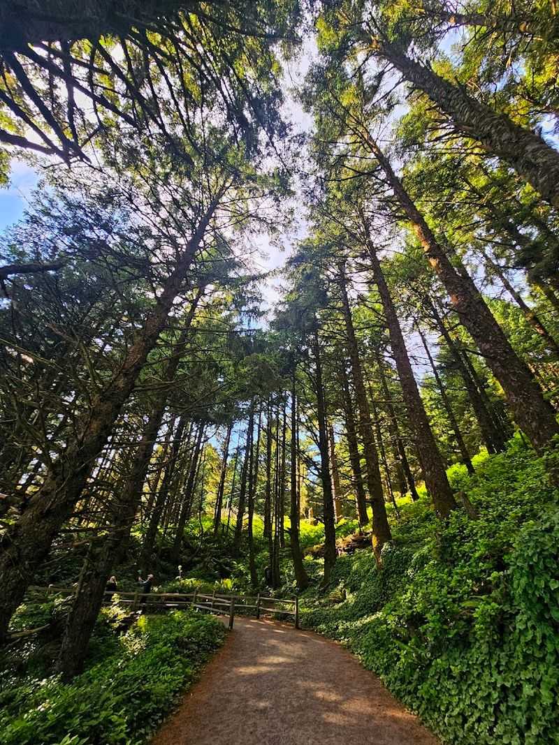 The Hike Up to the Lighthouse