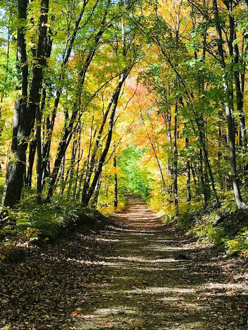The Hiking Club Trail and Its Honest Reputation