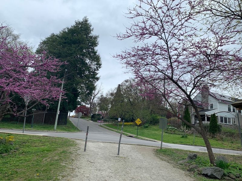 The Historical Neighborhood That Surrounds It The Historical Neighborhood That Surrounds It