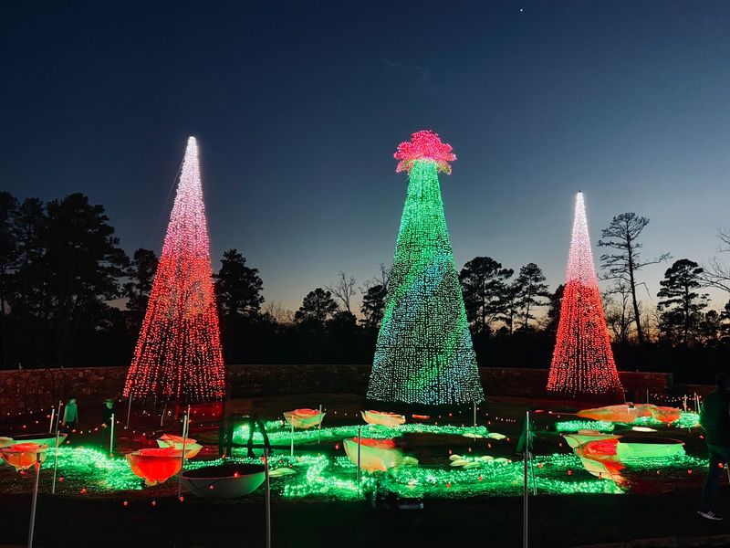 The Holiday Lights Display That Transforms the Garden Every Winter