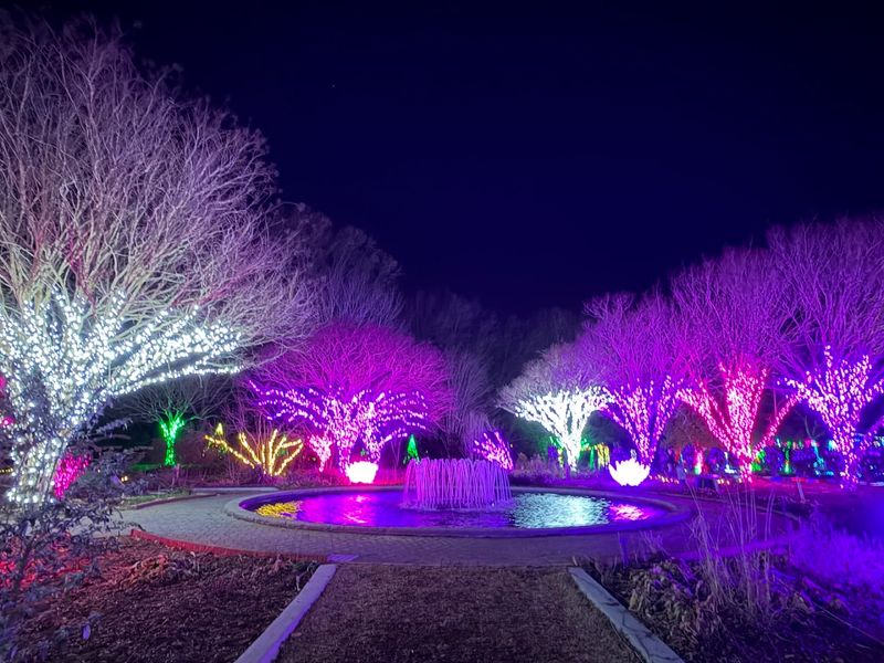 The Holiday Lights Experience That Draws Crowds Every Year