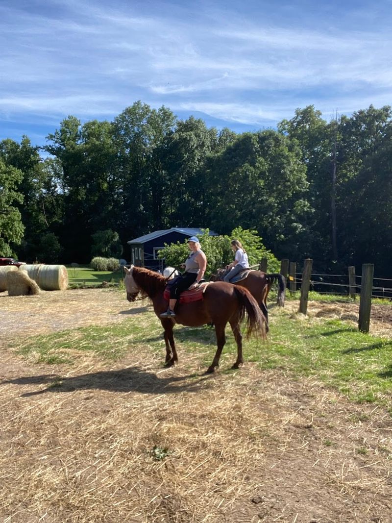 The Horses That Make the Ride Worth Every Minute The Horses That Make the Ride Worth Every Minute