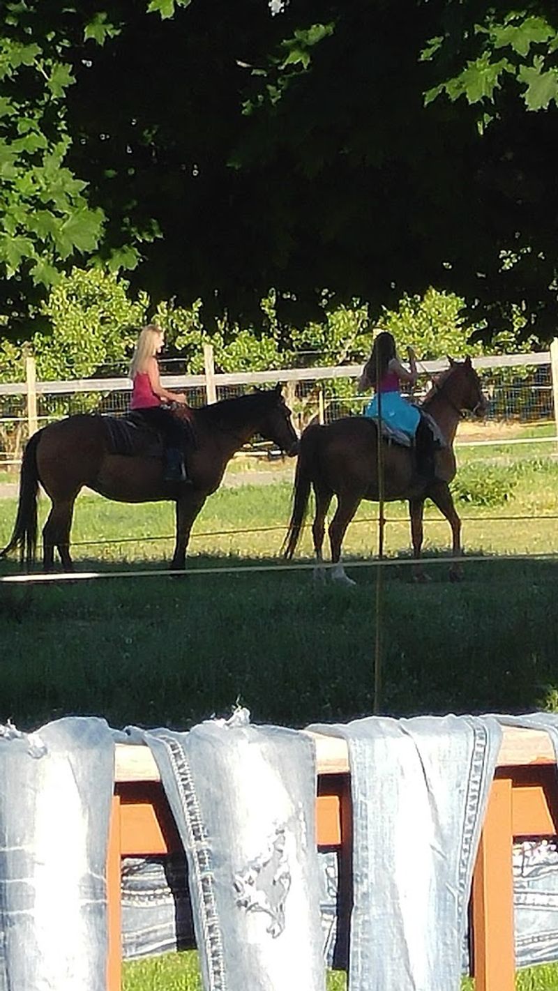 The Horses: Well-Loved, Well-Trained, and Ready to Ride