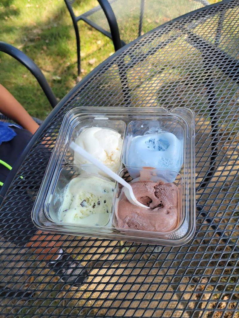 The Ice Cream Flight Worth Ordering The Ice Cream Flight Worth Ordering