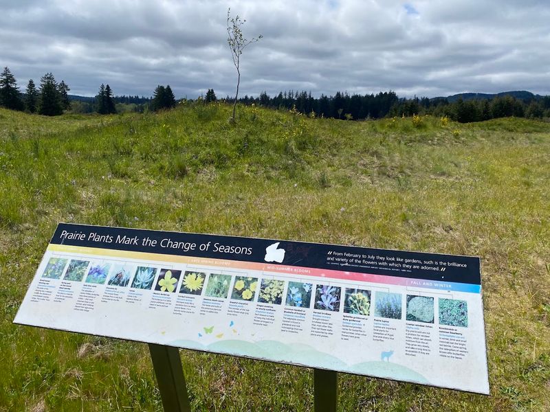 The Interpretive Center and Educational Signage