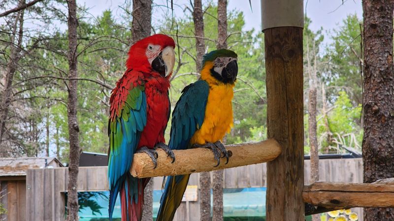 The Jaw-Dropping Animal Variety Inside The Jaw-Dropping Animal Variety Inside