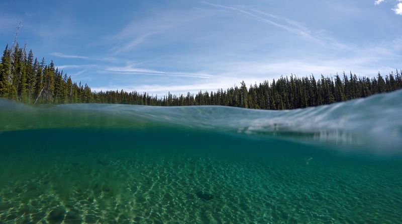 The Jaw-Dropping Clarity of the Water