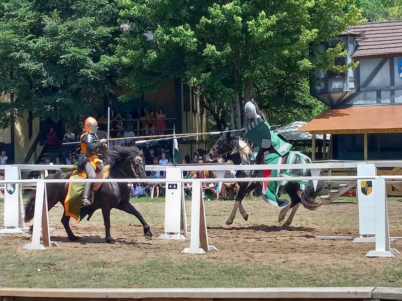 The Jousting Show: The Crown Jewel of the Festival
