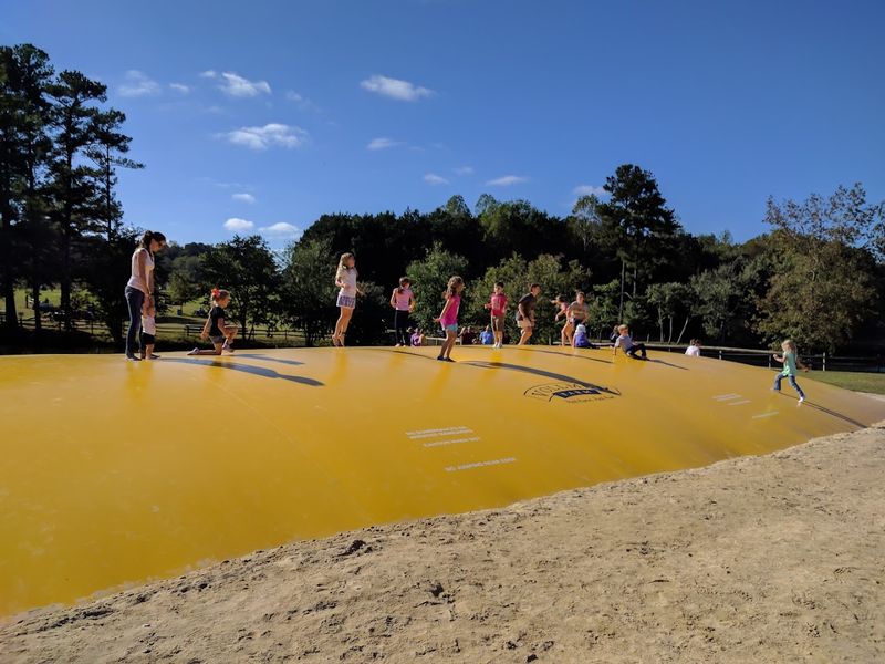The Jumping Pillow and the Corn Pit: Classic Farm Fun Done Right The Jumping Pillow and the Corn Pit: Classic Farm Fun Done Right