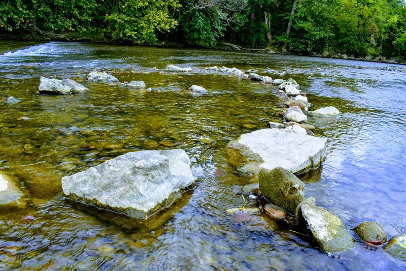 The Kokosing River: A Constant, Beautiful Companion The Kokosing River: A Constant, Beautiful Companion