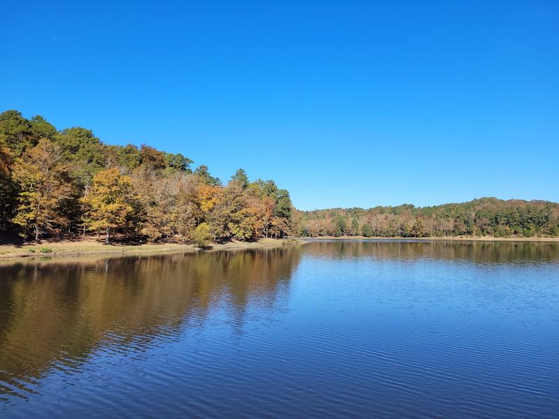The Lake That Anchors the Park