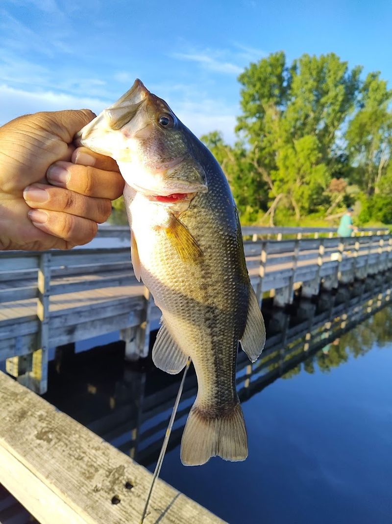 The Lake That Keeps Anglers Coming Back The Lake That Keeps Anglers Coming Back