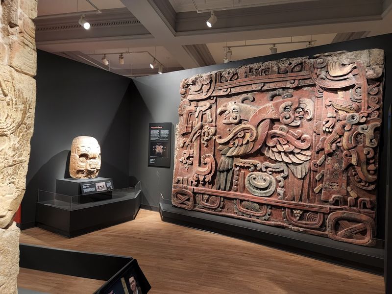 The Largest Maya Monument Collection in the United States