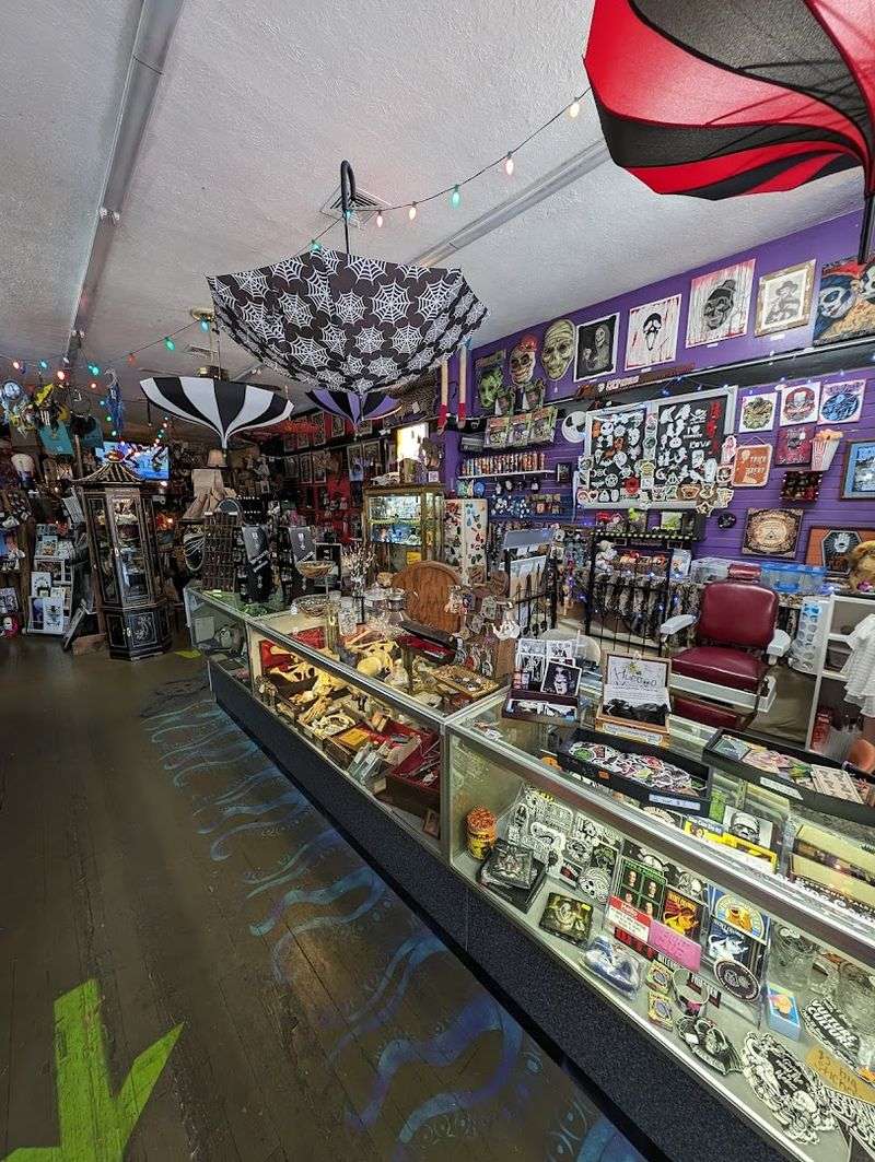 The Layout: Organized Chaos Done Right The Layout: Organized Chaos Done Right