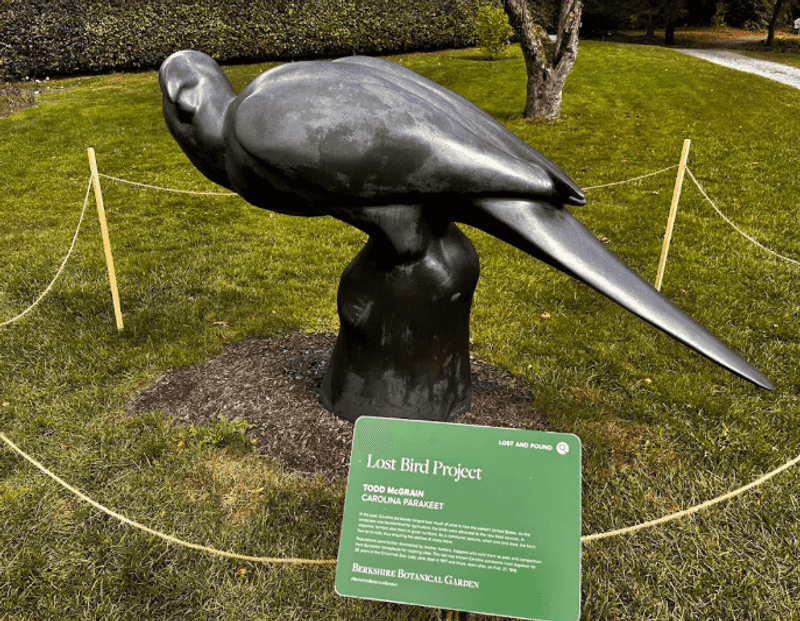 The Lost Bird Project: A Moving Tribute Woven Into the Grounds