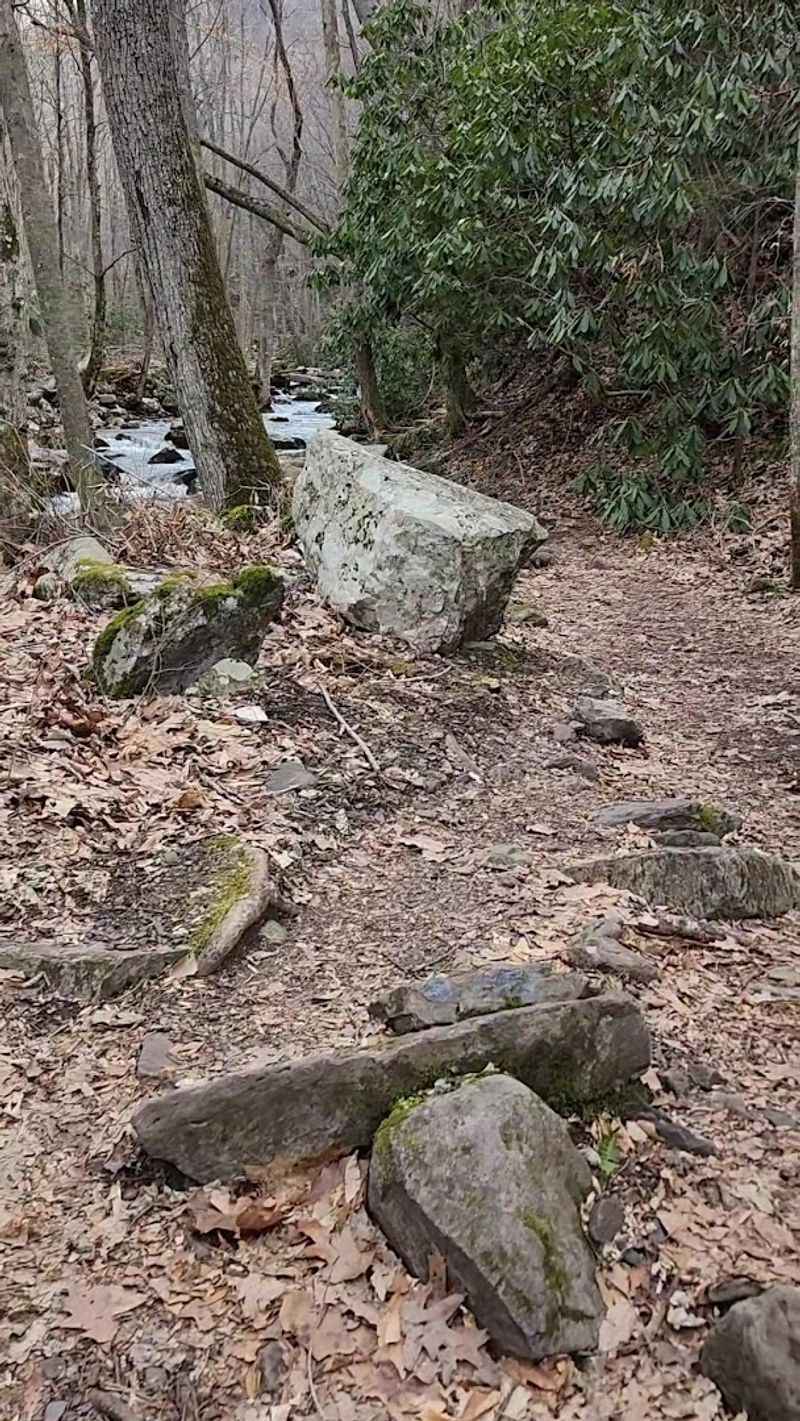 The Lower Trail's Rocky Personality