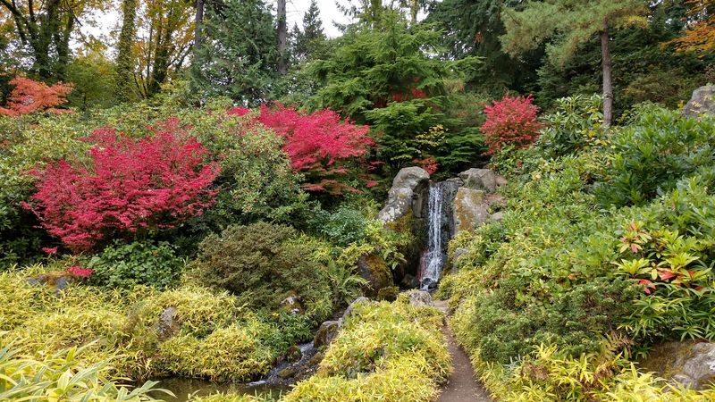 The Man Who Built a Garden From Nothing