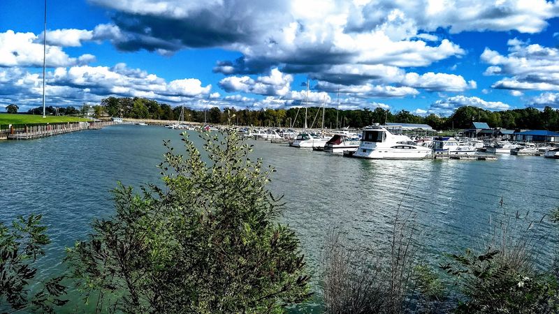 The Marina and Harbor Views