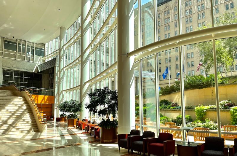 The Mayo Clinic Legacy That Shapes Everything The Mayo Clinic Legacy That Shapes Everything