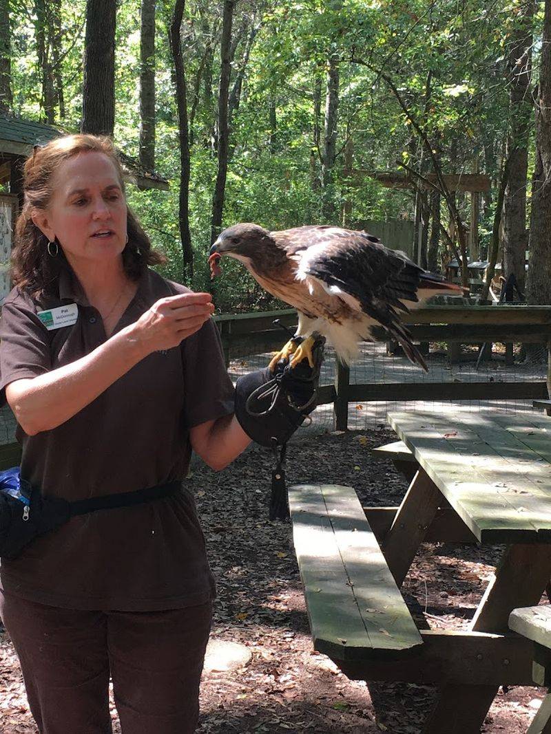 The Meet-a-Raptor Experience: Getting Even Closer