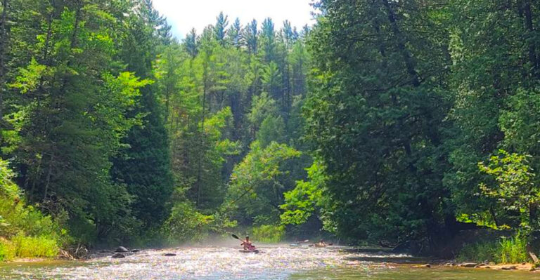 The Michigan River That Keeps Paddlers Coming Back Every Year