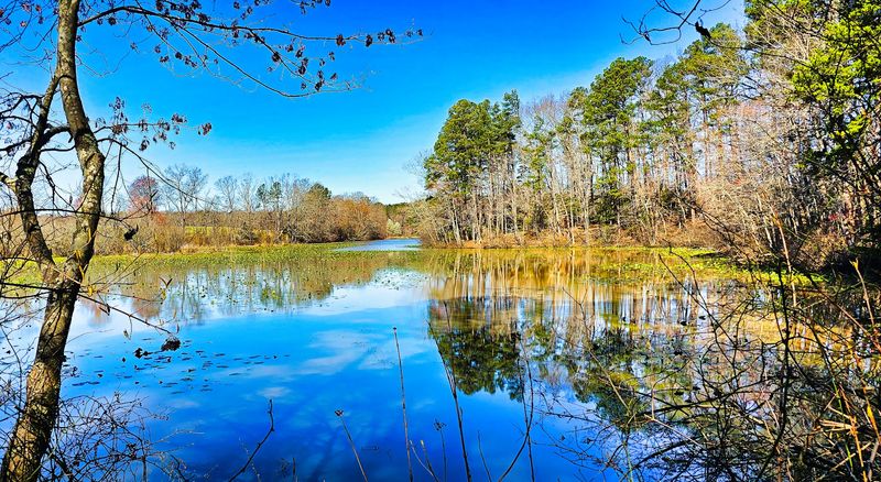 The Mill Pond and Walking Trails Around the Property