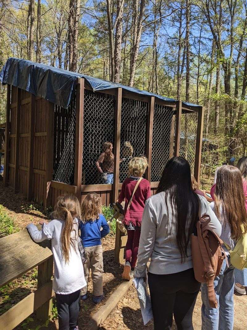 The Mission Behind the Birds: Rescue, Rehabilitation, and Conservation