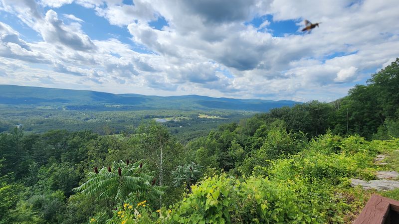 The Mohawk Trail: A Scenic Drive Worth Building a Day Around