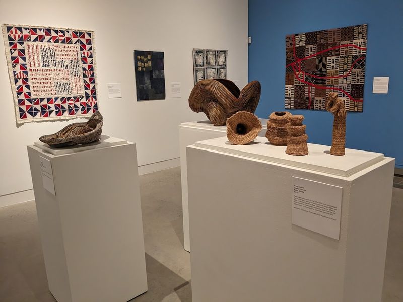 The Montana Collection and Its Regional Voice